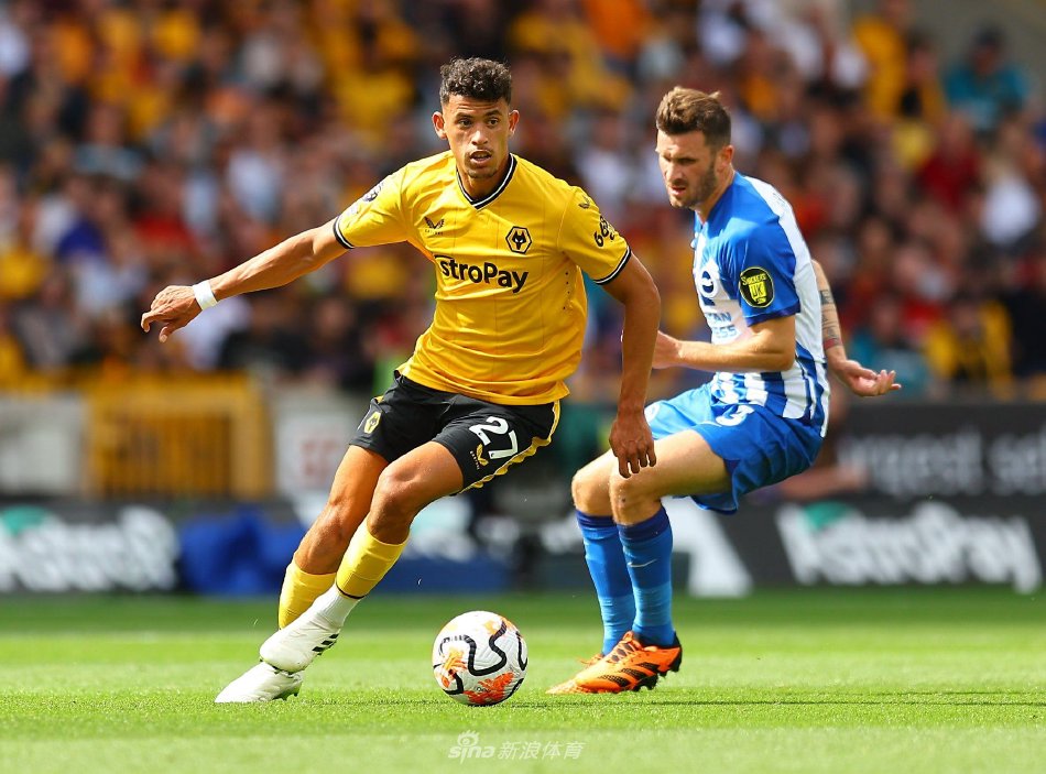 常规的投篮 常规的投篮